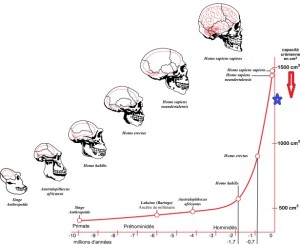 Žmonių smegenų dydis dar neseniai augo, kol prieš 20 000 metų jis nepradėjo mažėti.