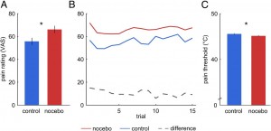 Nors abejų pleistrų temperatūros buvo vienodos (C), žmonės įvertino skausmą kaip stipresnį po pleistru su "vaistu" (A).  Šios įverčius patvirtino ir fMRI skenerio pagalbą stebimas aktyvumas nugaros smegenyse (B).