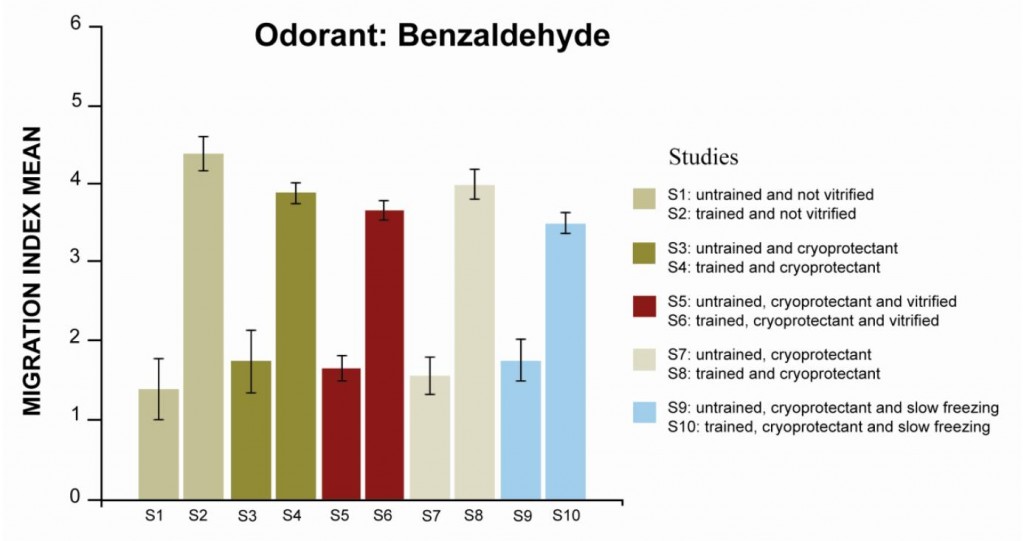 Treniruotų ir netreniruotų apvaliųjų kirmelių atsakas į stimulą po užšaldymo ir atšaldymo procedūros.