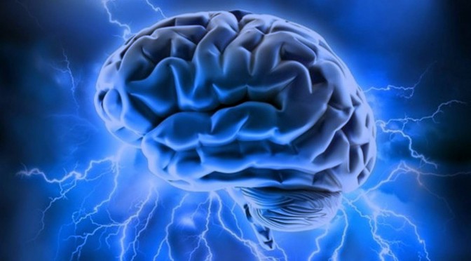 Mokslui vis neįkandamos… žmogaus smegenys