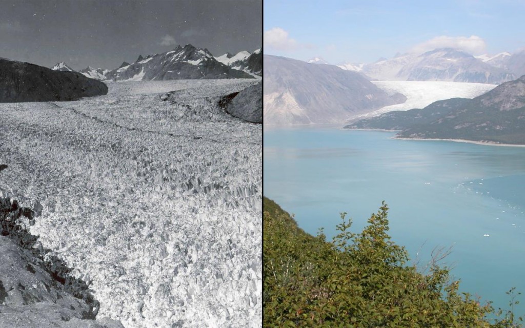 Tas pats ledynas, tas pats metų laikas, ta pati vieta, bet skirtingi metai. Kairėje 1941 metai, rugpjūčio 13, o dešinėje 2004 metai, rugpjūčio 30 diena.